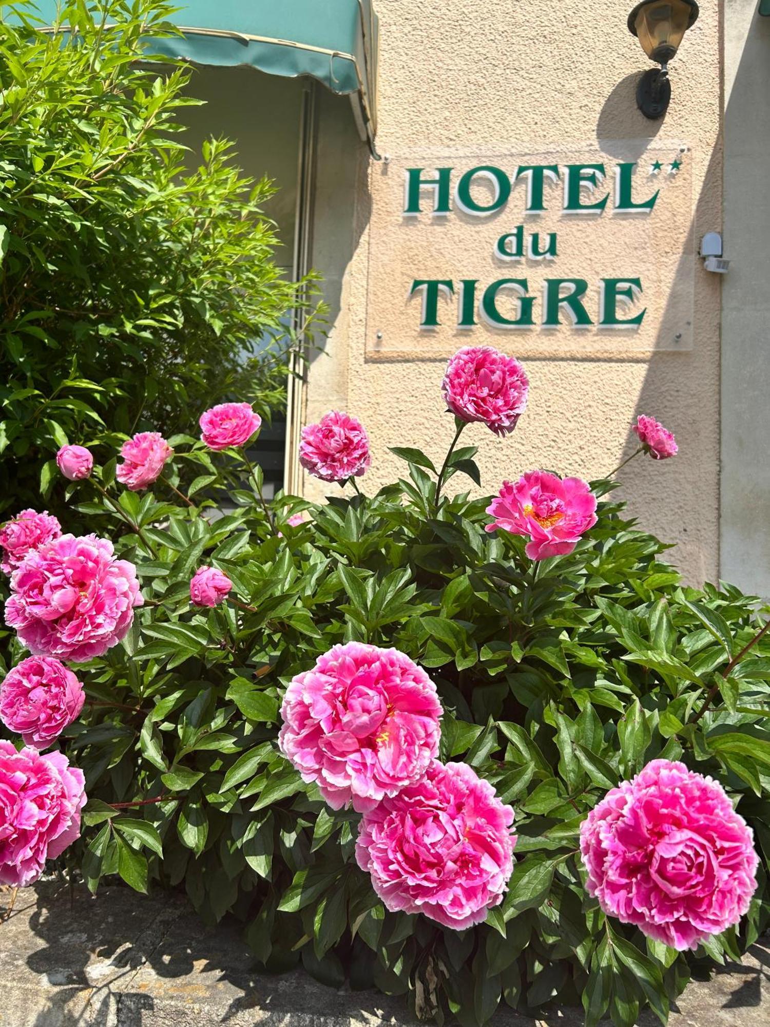 Cit'Hotel Du Tigre Verdun-sur-Meuse Ngoại thất bức ảnh